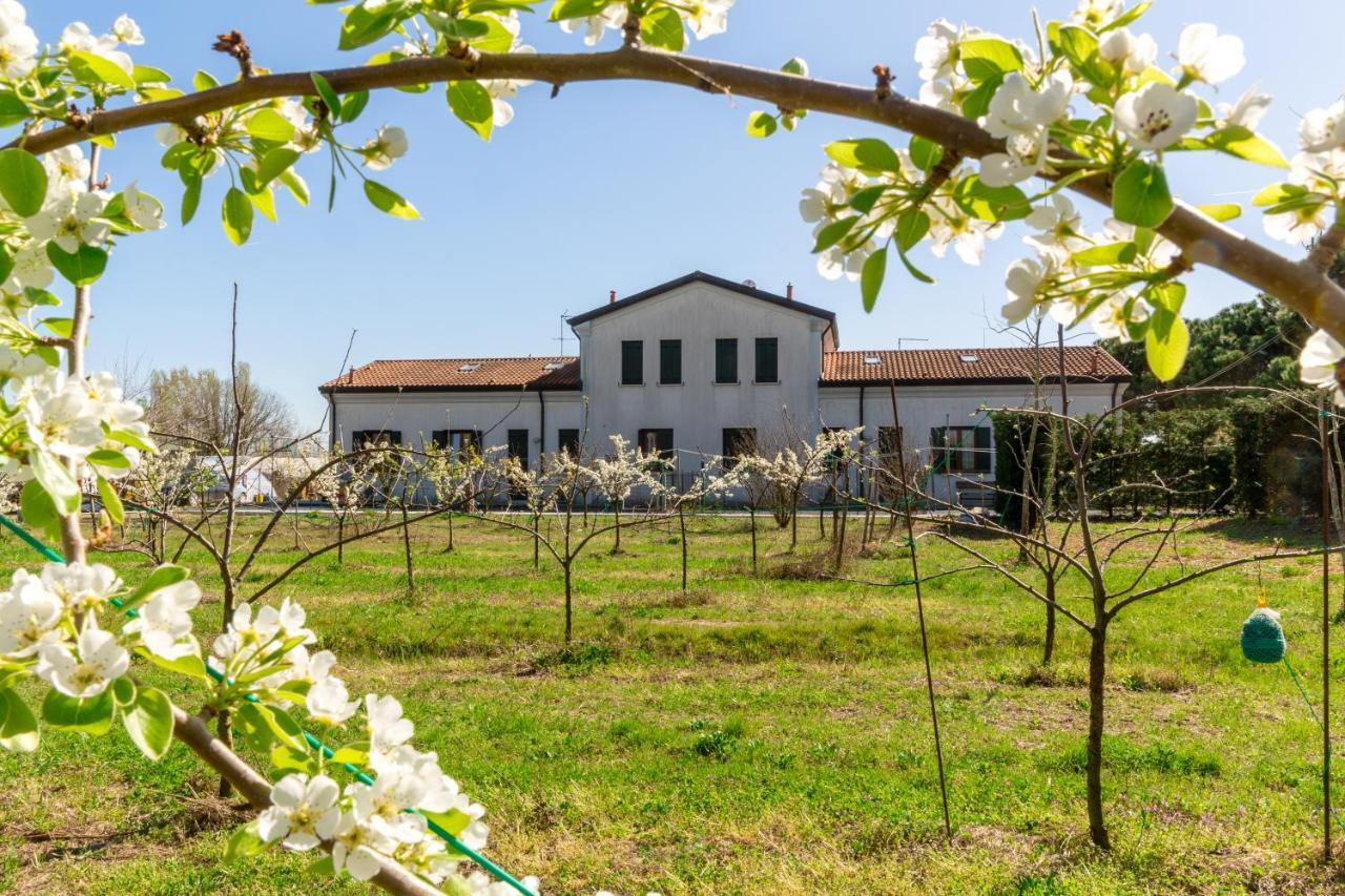 Agriturismo Ca' Baccan Cavallino-Treporti Eksteriør billede