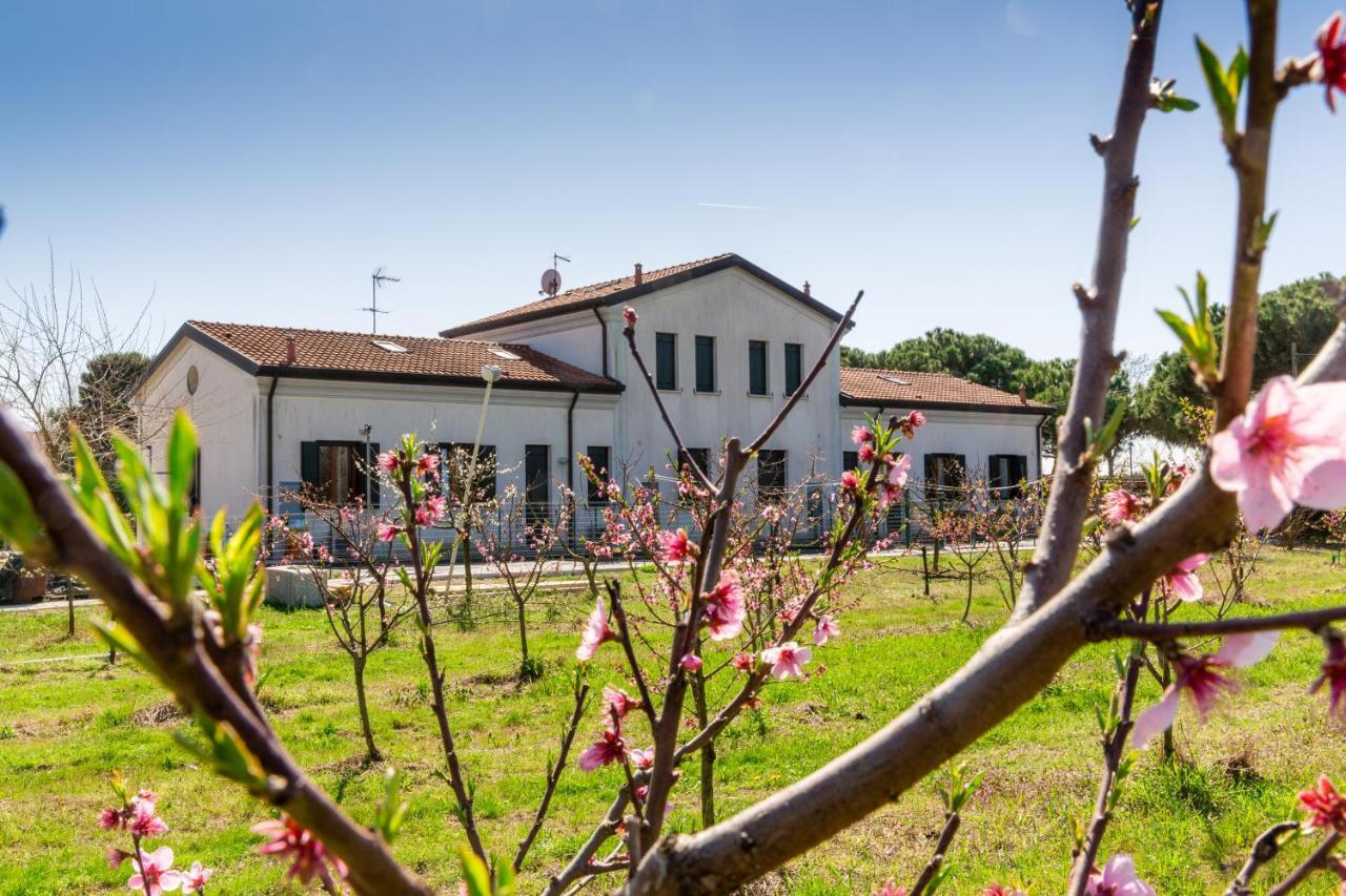 Agriturismo Ca' Baccan Cavallino-Treporti Eksteriør billede